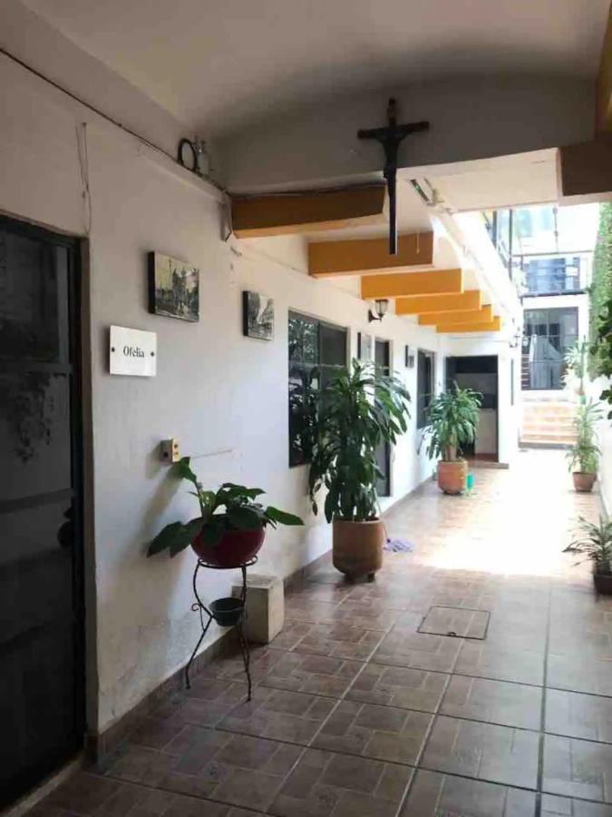 Cute Apart Excellently Located Apartment Oaxaca Exterior foto