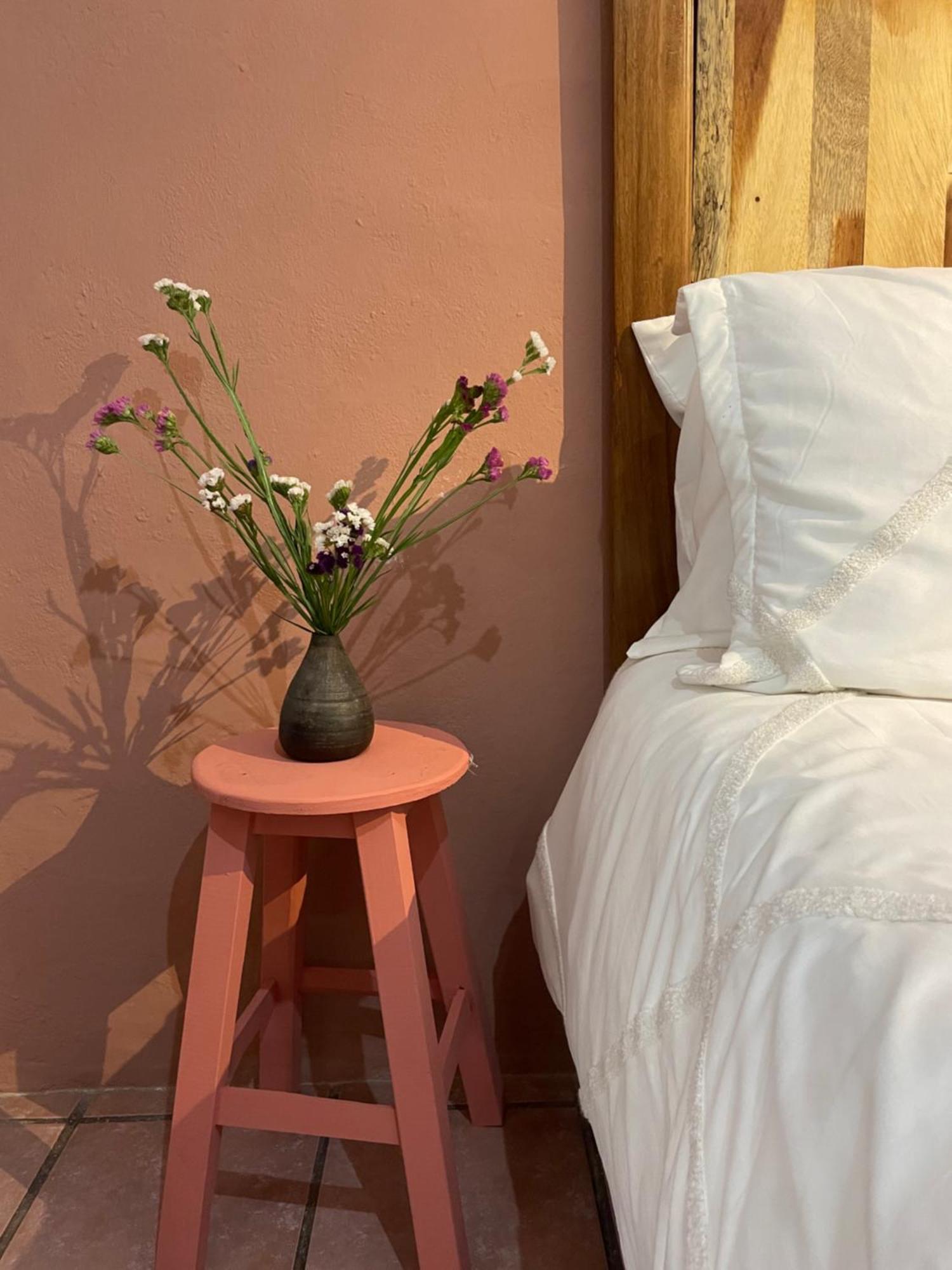 Cute Apart Excellently Located Apartment Oaxaca Exterior foto